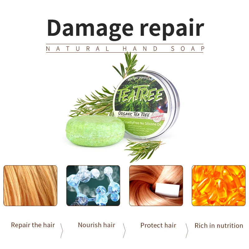 Tea Tree Shampoo