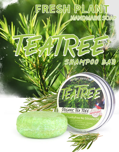 Tea Tree Shampoo