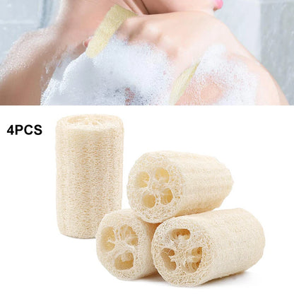 Natural Luffa Body Wash