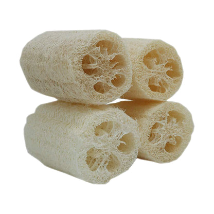 Natural Luffa Body Wash