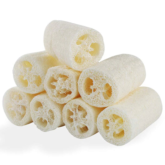 Natural Luffa Body Wash