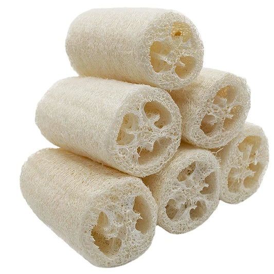 Natural Luffa Body Wash